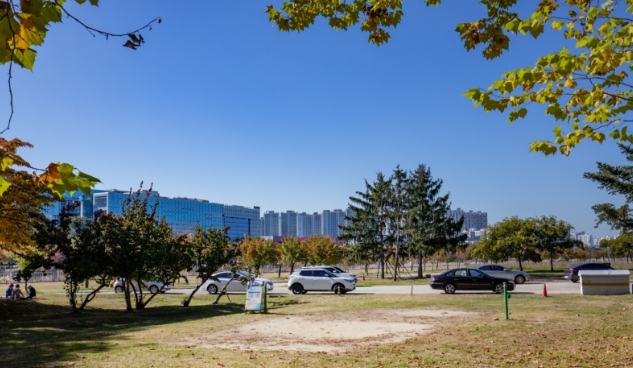 족구장 전경