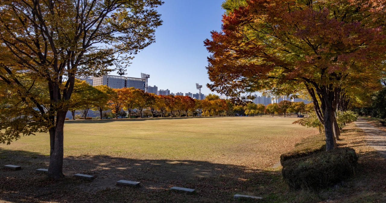대운동장 사진6