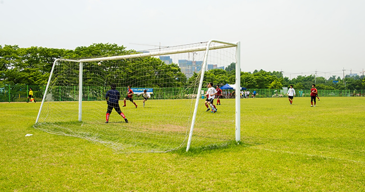 잔디축구장 사진1