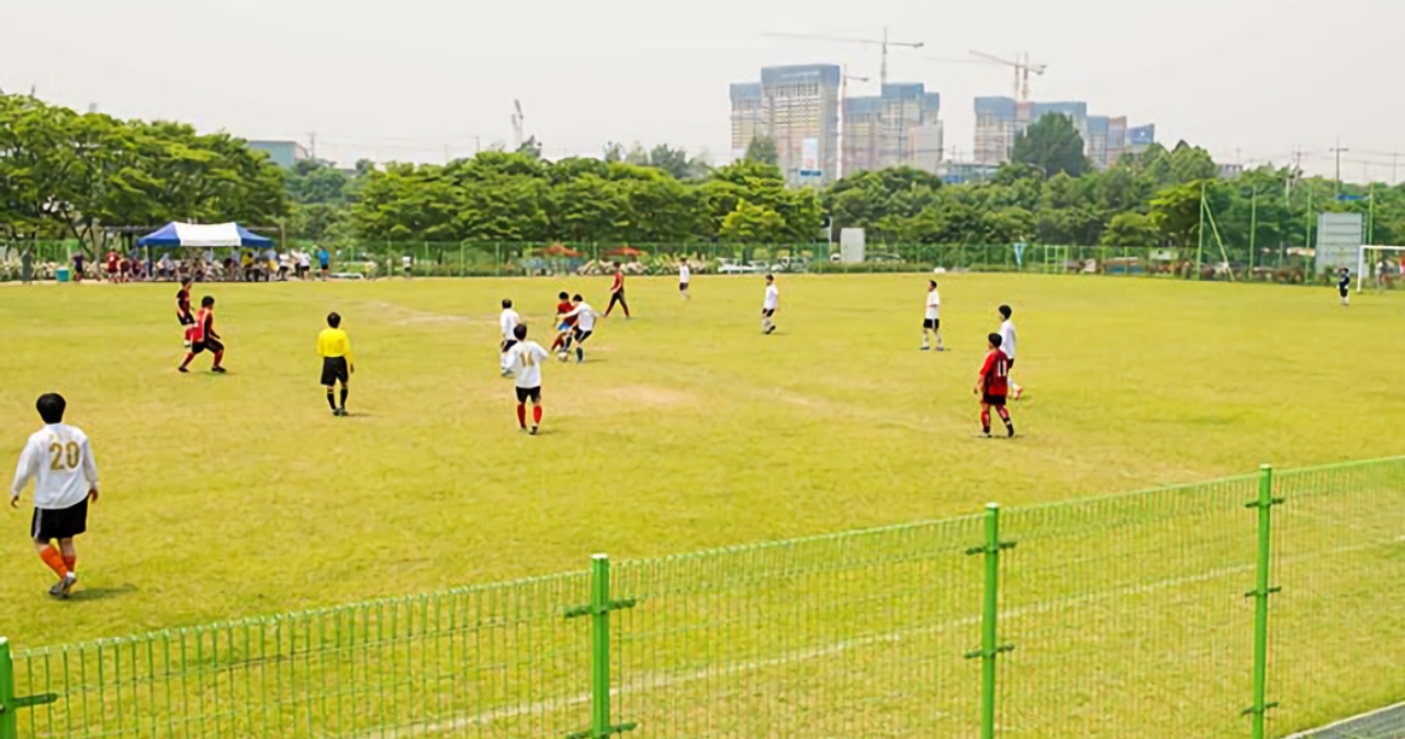 잔디축구장 사진2