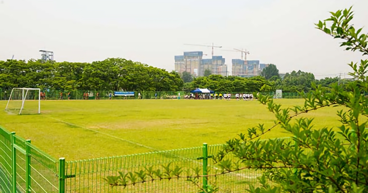 잔디축구장 사진3