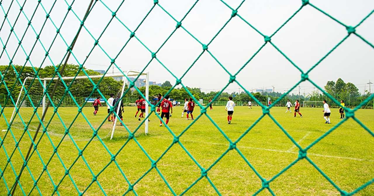 잔디축구장 사진4