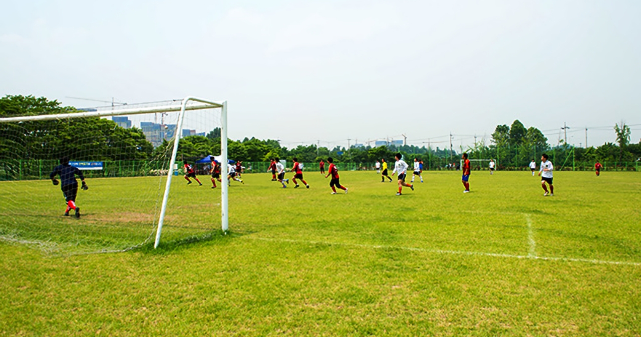 잔디축구장 사진5