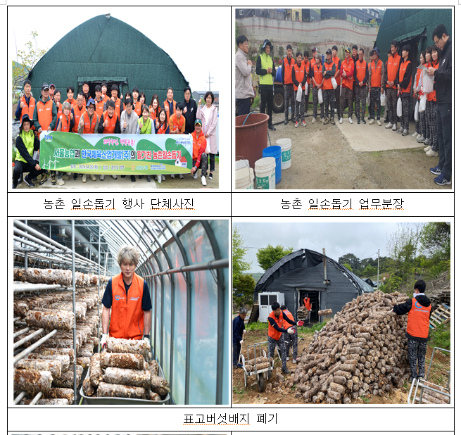 2024년 4월 사랑나눔 봉사활동 사진2