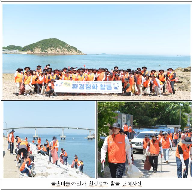 2024년 6월 사랑나눔 봉사활동 사진2