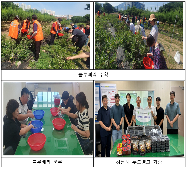2024년 6월 사랑나눔 봉사활동 사진7