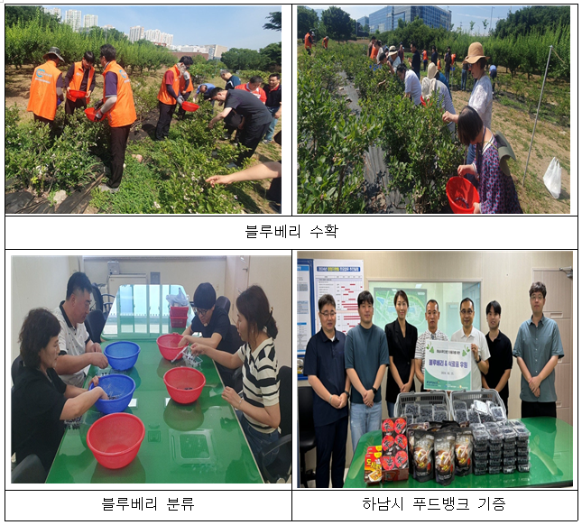 2024년 7월 사랑나눔 봉사활동 사진5
