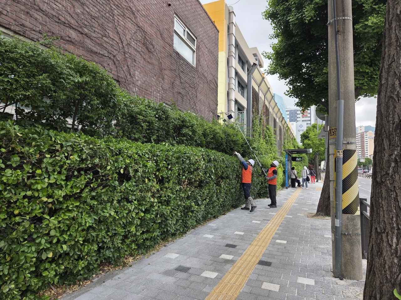 2026년 4월 역량나눔 봉사활동 고쳐드림🌳❤️ 사진4