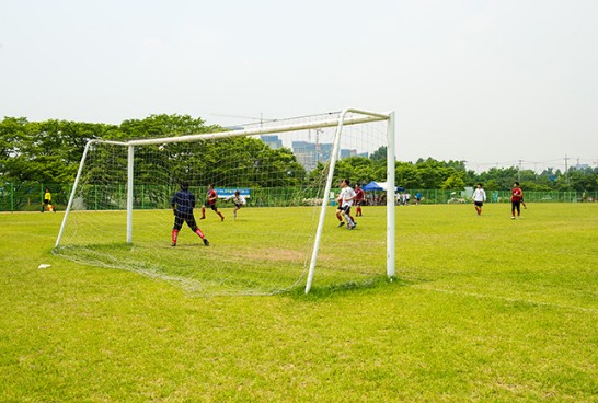 잔디축구장 모습1