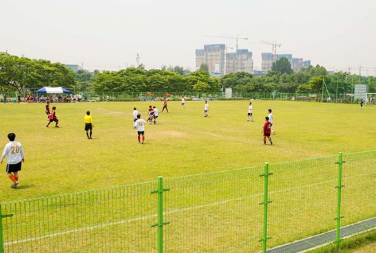 잔디축구장 모습2