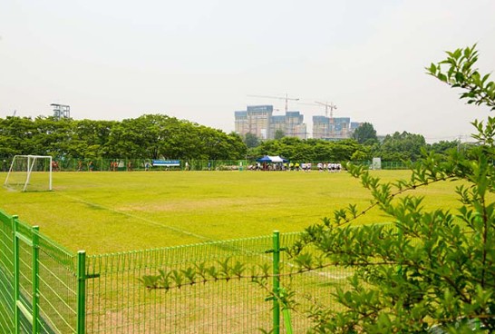 잔디축구장 모습3