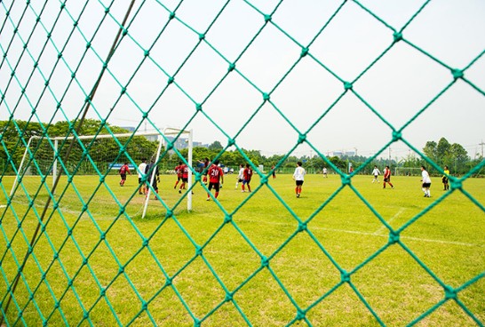 잔디축구장 모습4
