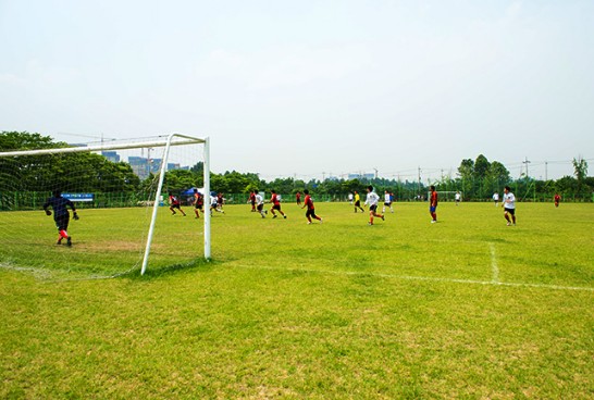 잔디축구장 모습5