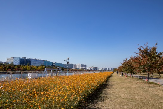 내부도로 모습3