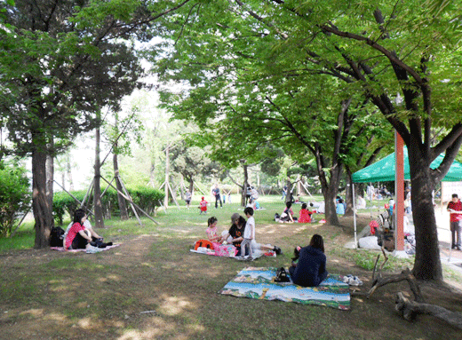 장미광장 잔디밭에서 휴식 중인 사람들