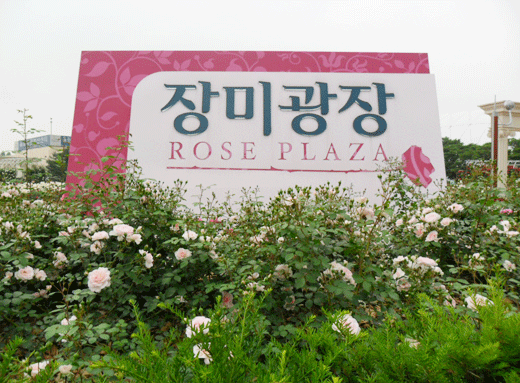 장미광장 사인