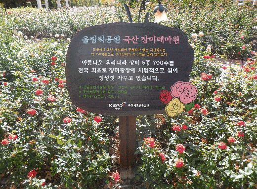 장미광장 국산 장미 테마원 안내판
