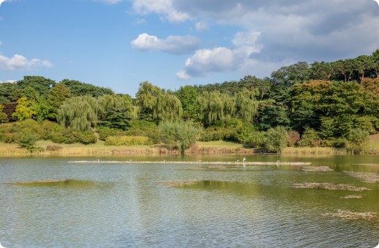 몽촌해자 수변 전경1