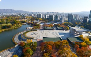 평화의 광장 항공 뷰