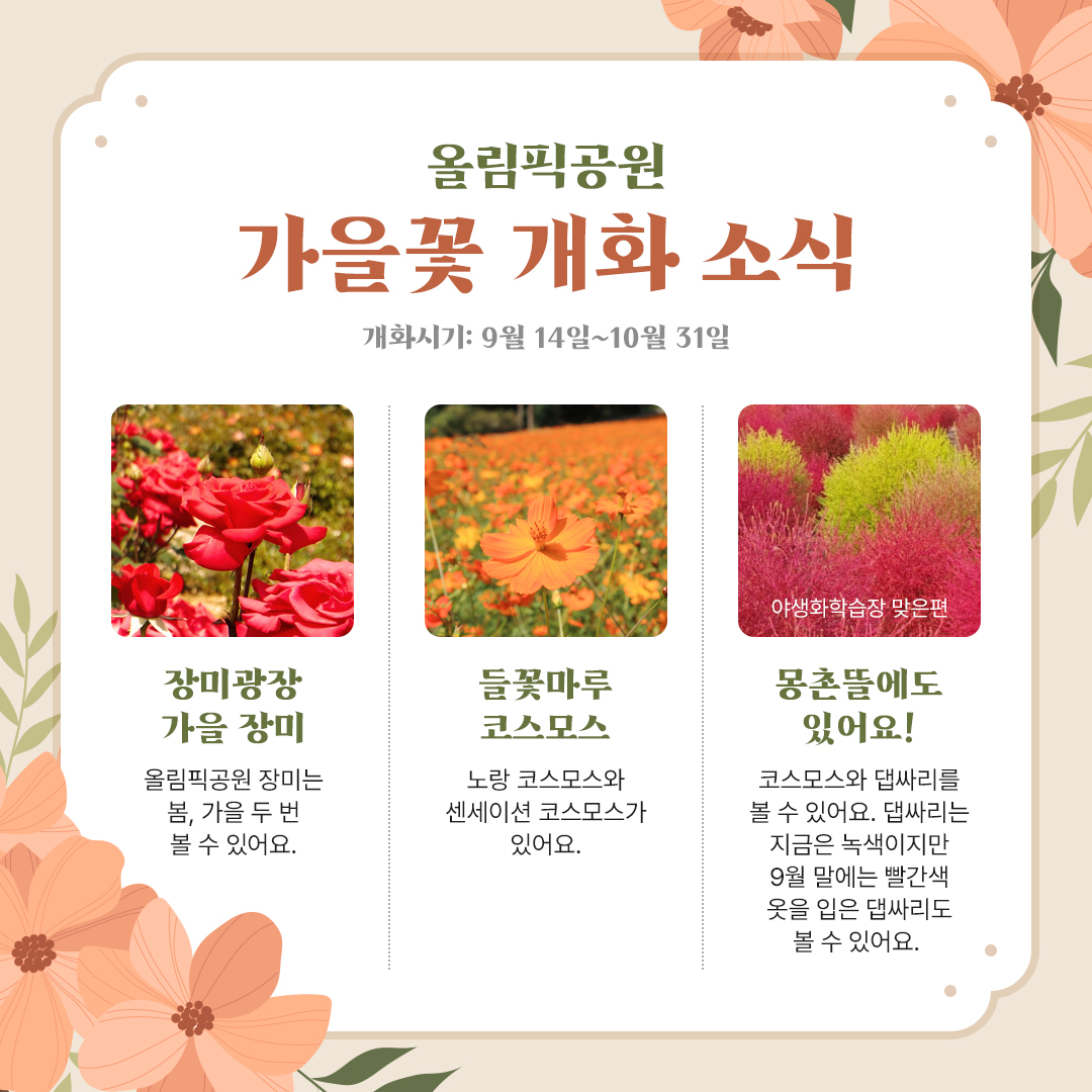 올림픽공원 가을꽃 개화 소식